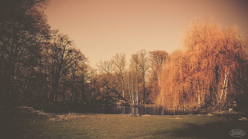 Landschaften – KaMaPo Fotografie